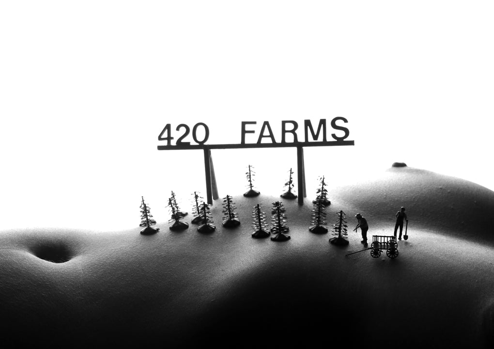 420 Farms