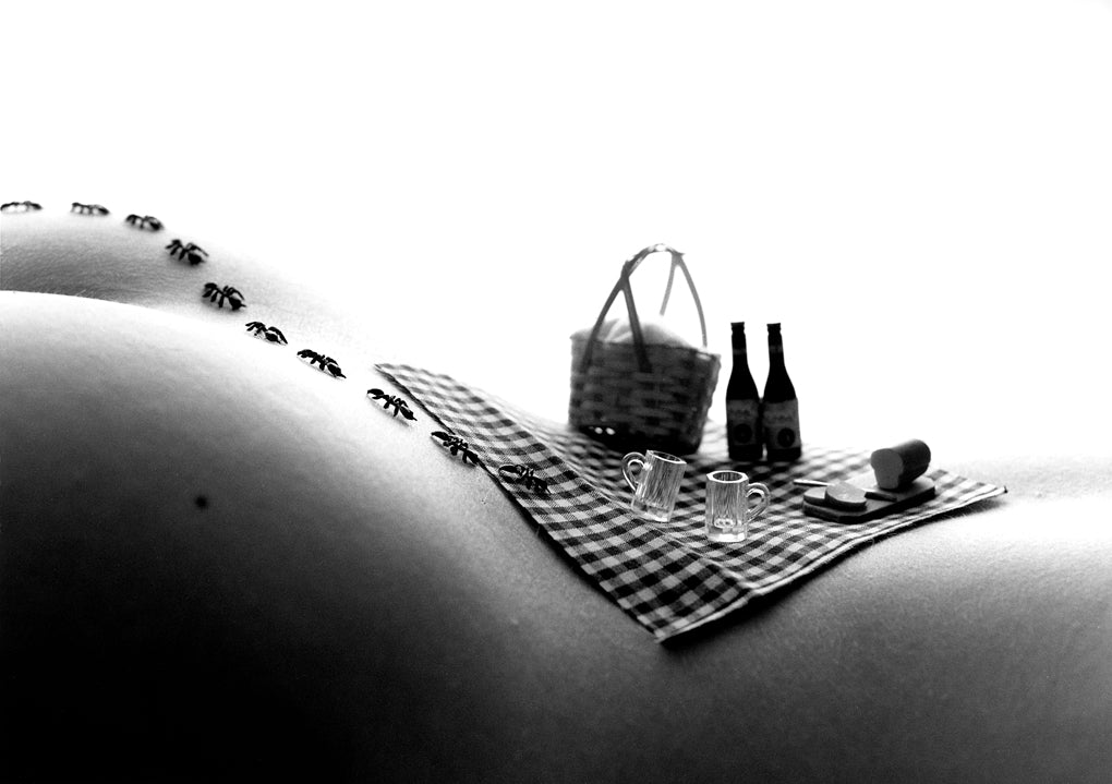 Picnic